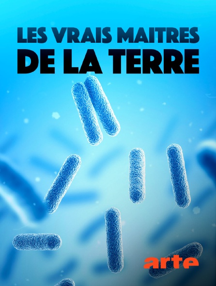 Arte - Les vrais maîtres de la Terre : Les microbes