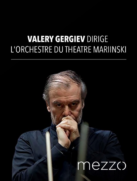 Mezzo - Valery Gergiev dirige l'Orchestre du Théâtre Mariinski