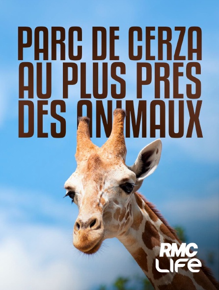 RMC Life - 100 jours avec les animaux de Cerza, le plus grand zoo de Normandie en replay