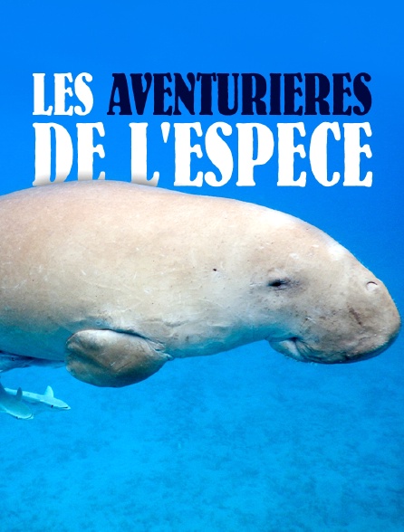 Les aventurières de l'espèce