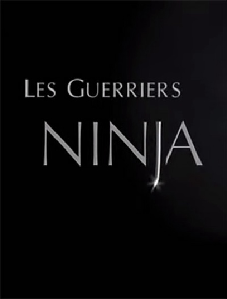 Les guerriers ninja