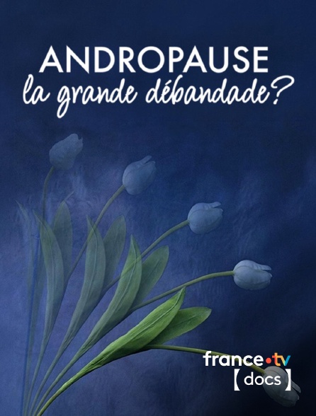 France TV Docs - Andropause : la grande débandade ?