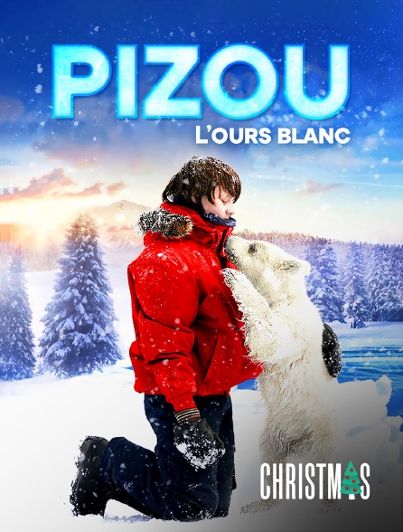 test vod2live - Pizou l'ours blanc