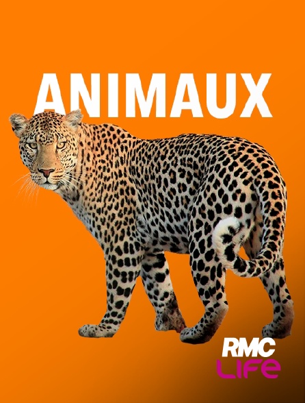 RMC Life - L'hebdo des animaux