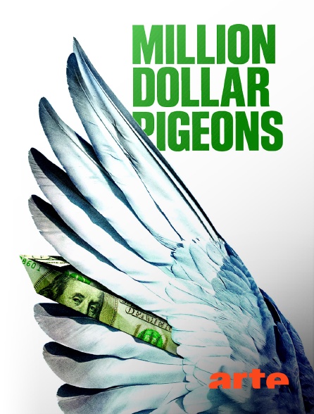 Arte - Million Dollar Pigeons