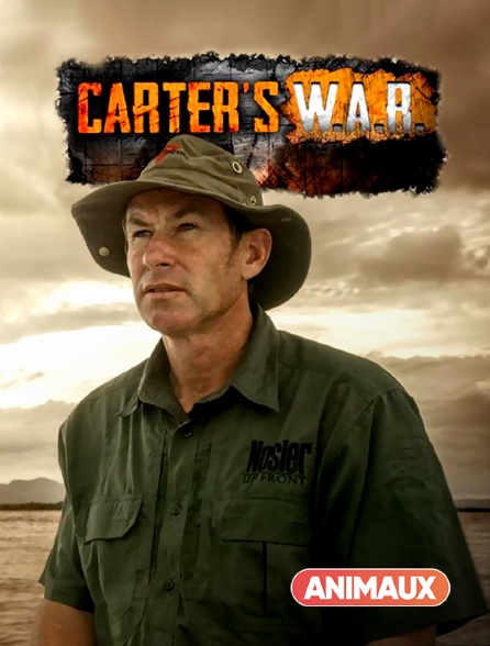 Animaux - Carter's W.A.R