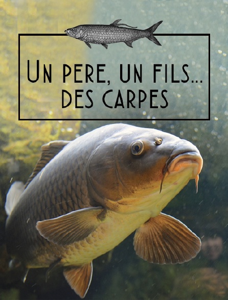 Un père, un fils... des carpes