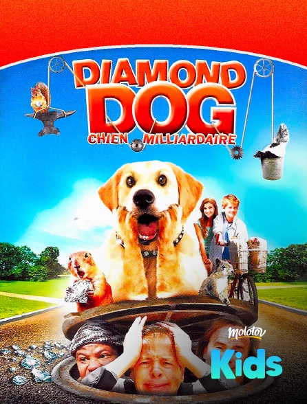 Molotov Channels Kids - Diamond Dog : chien milliardaire