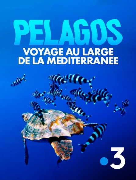 France 3 - Pélagos, voyage au large de la Méditerranée