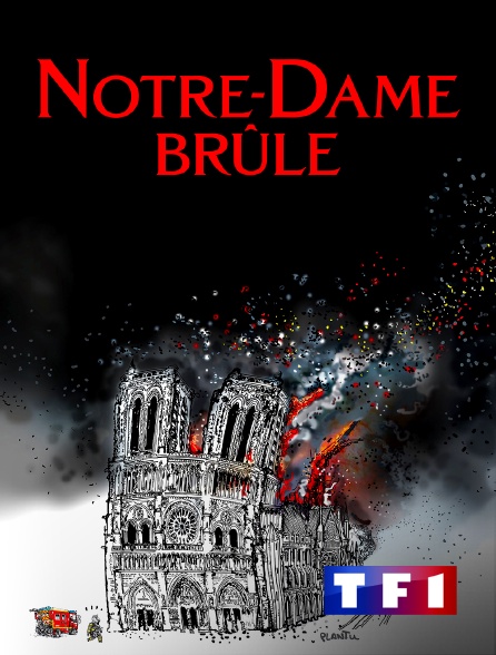 TF1 - Notre-Dame brûle