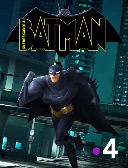 France 4 - Beware the Batman