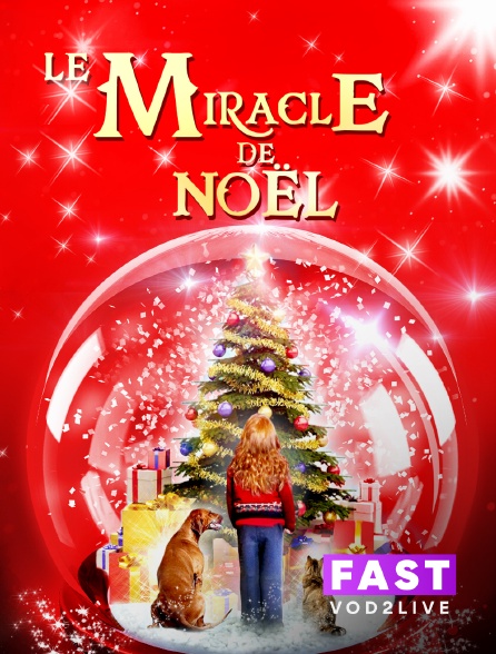 Molotov Channels TEST FAST - Le miracle de Noël