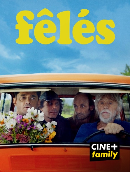 CINE+ Family - Fêlés