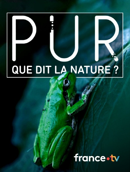 France.tv - PUR, que dit la nature ?