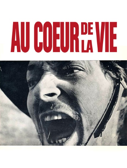 Au coeur de la vie