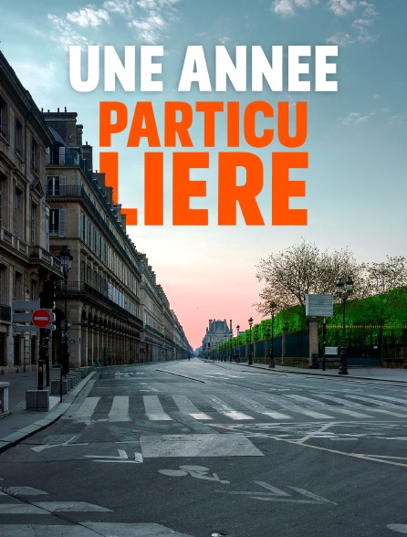 Une année particulière : Un tour du monde à distance