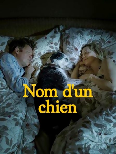 Nom d'un chien