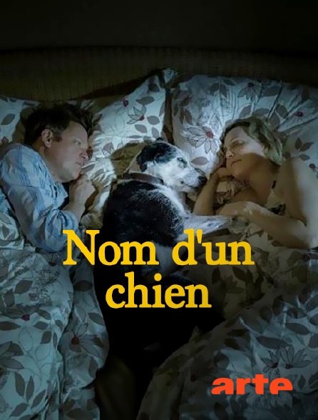 Arte - Nom d'un chien