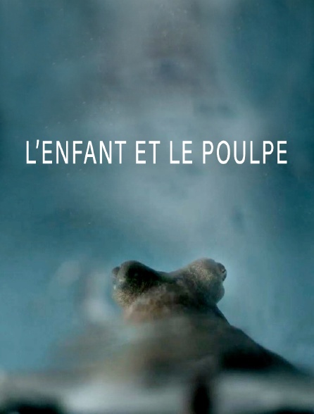 L'enfant et le poulpe