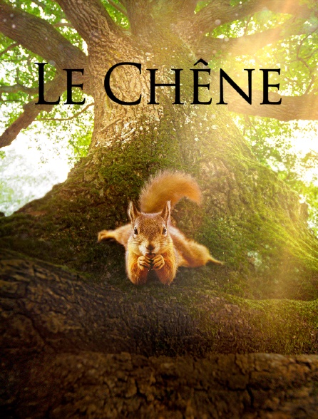 Le Chêne