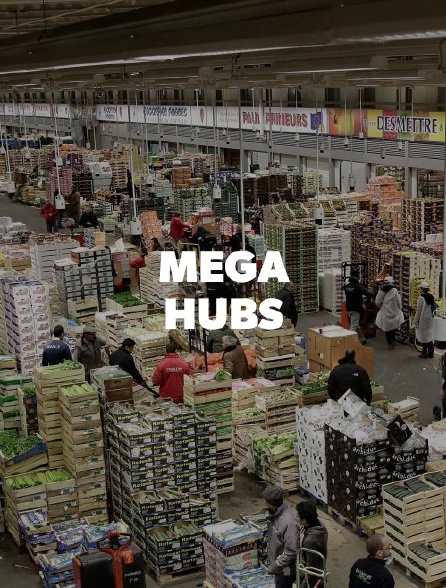Mega Hubs