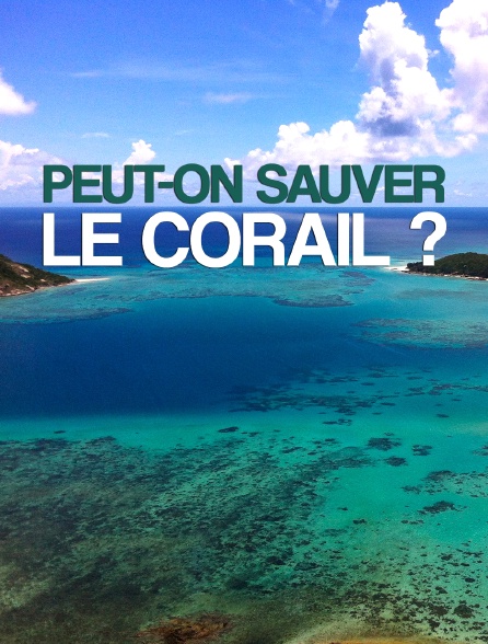 Peut-on sauver le corail ?