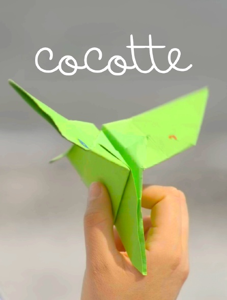 Cocotte