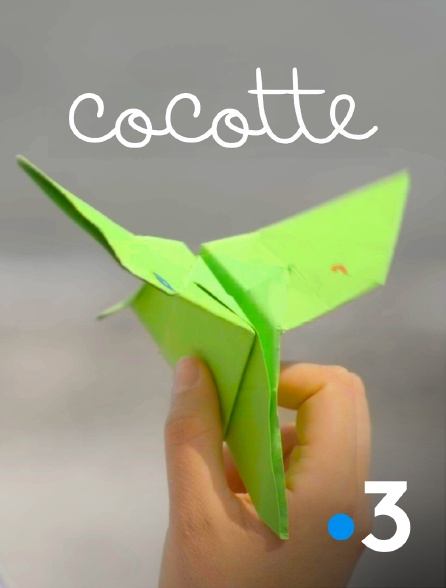 France 3 - Cocotte