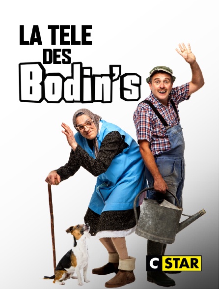 CSTAR - La télé des Bodin's