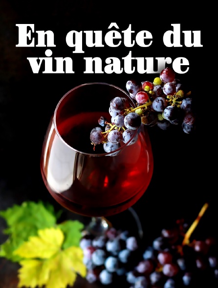 En quête du vin nature