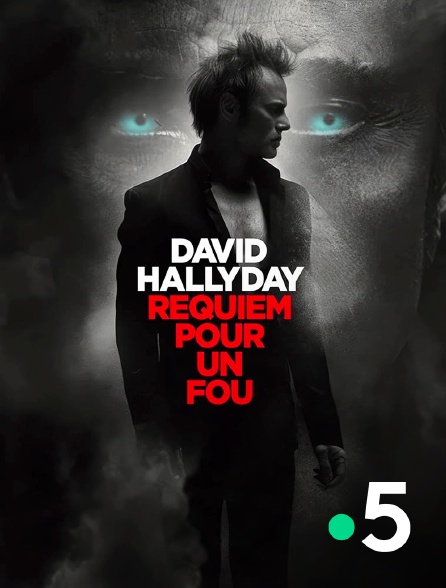 France 5 - David Hallyday, requiem pour un fou