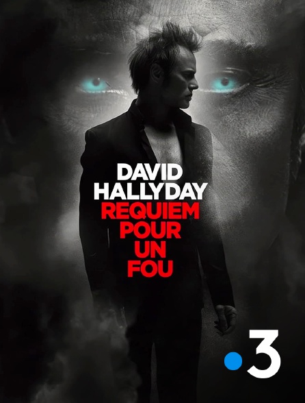 France 3 - David Hallyday, requiem pour un fou