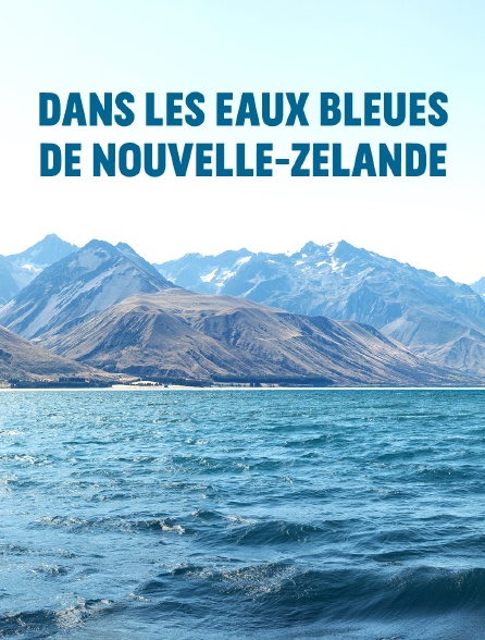 Dans les eaux bleues de Nouvelle-Zélande