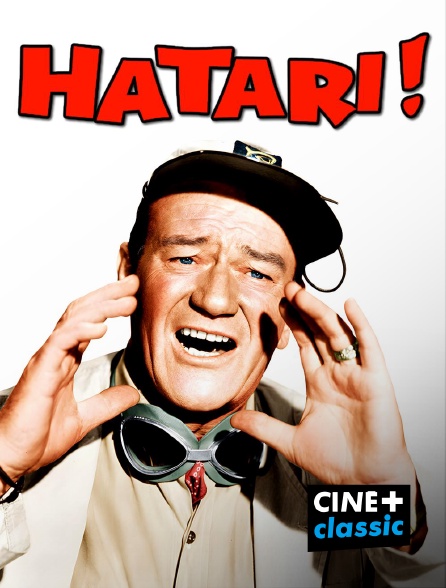 CINE+ Classic - Hatari ! en replay