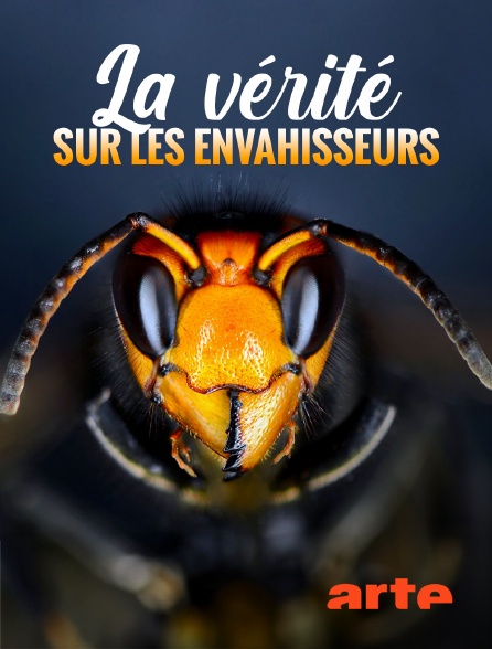 Arte - La vérité sur les envahisseurs