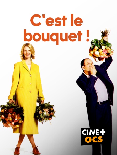 CINÉ Cinéma - C'est le bouquet !