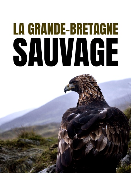 La Grande-Bretagne sauvage