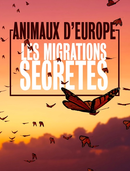 Migrations secrètes