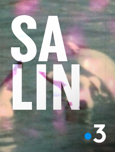 France 3 - Salin