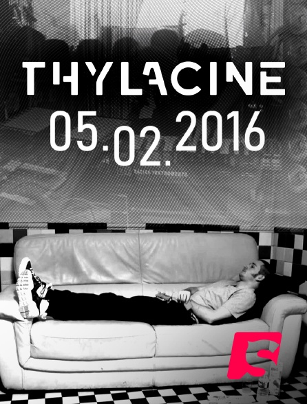 Spicee - Thylacine 05.02.2016