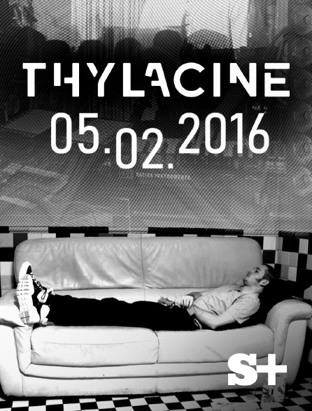 Society+ - Thylacine 05.02.2016