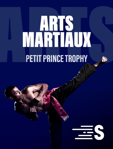 Sport en France - Arts martiaux - Petit Prince Trophy