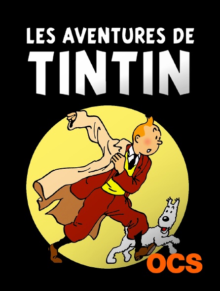 Les Aventures De Tintin En Streaming Sur Ocs Molotov Tv