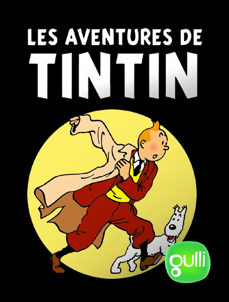 Gulli - Les aventures de Tintin