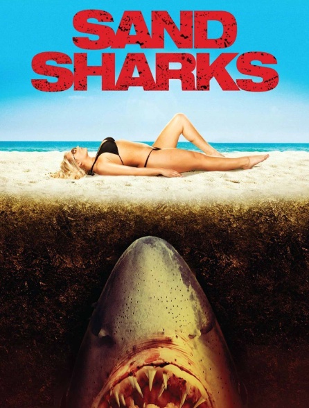 Sand Sharks : Les dents de la plage