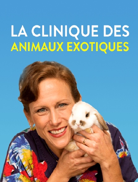 La clinique des animaux exotiques