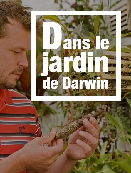 Dans le jardin de Darwin