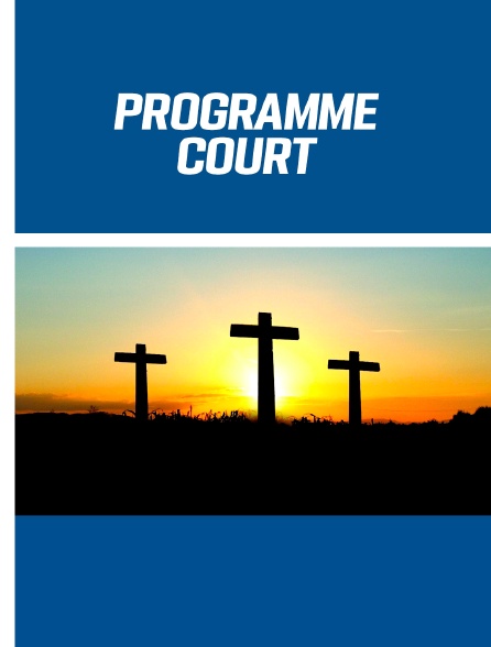 Programme court