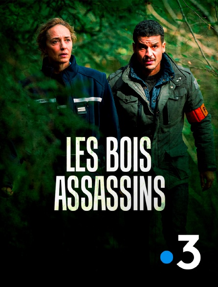 France 3 - Les bois assassins