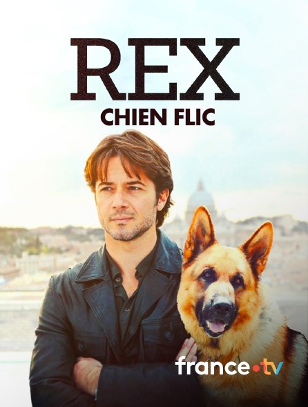 france.tv - Rex, chien flic en replay